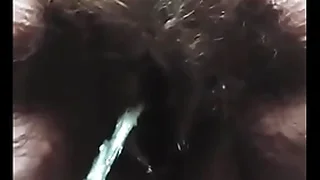 asiagalorex.click 26